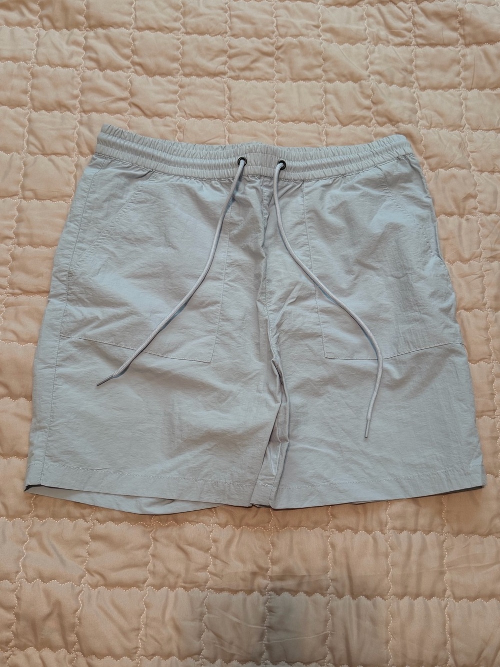 Pacsun Light Blue Volley Shorts